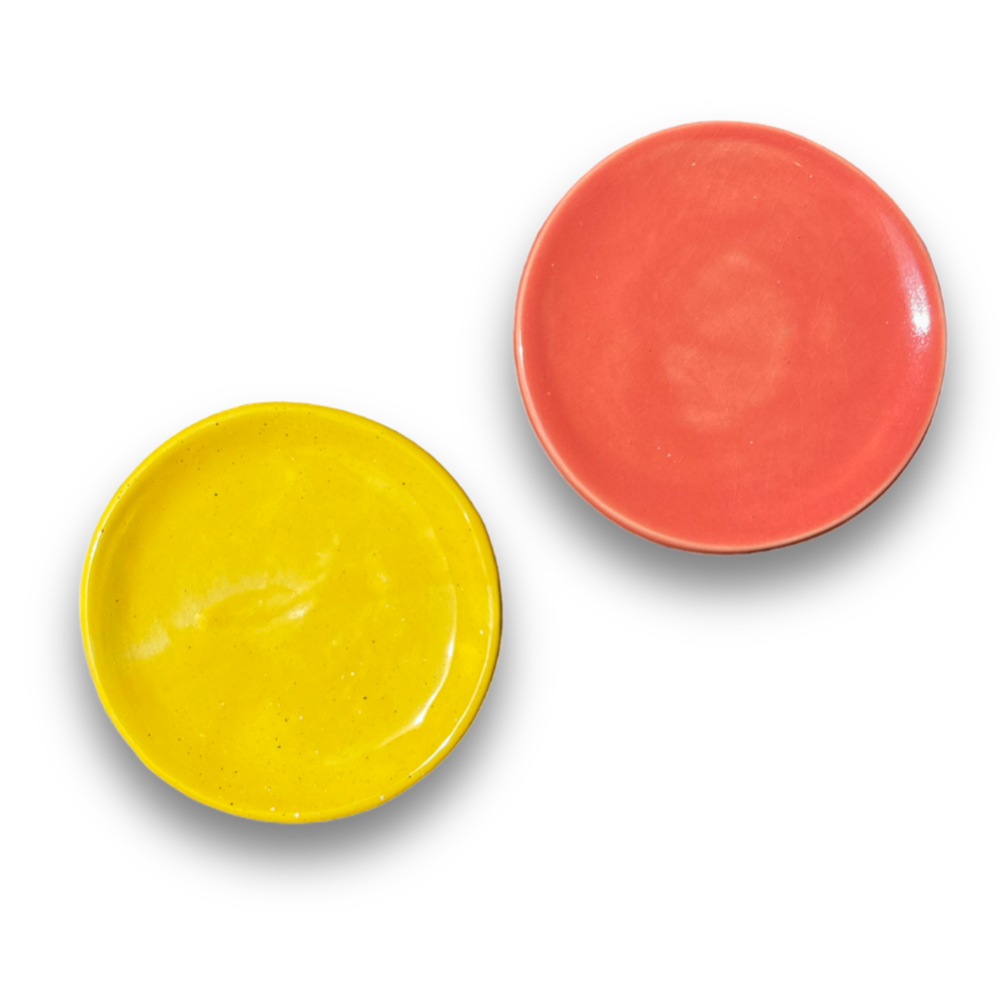 COLOR PLATES By Paula Teixeira